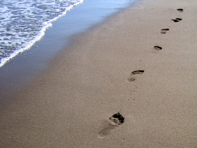 Imagen caminante playa